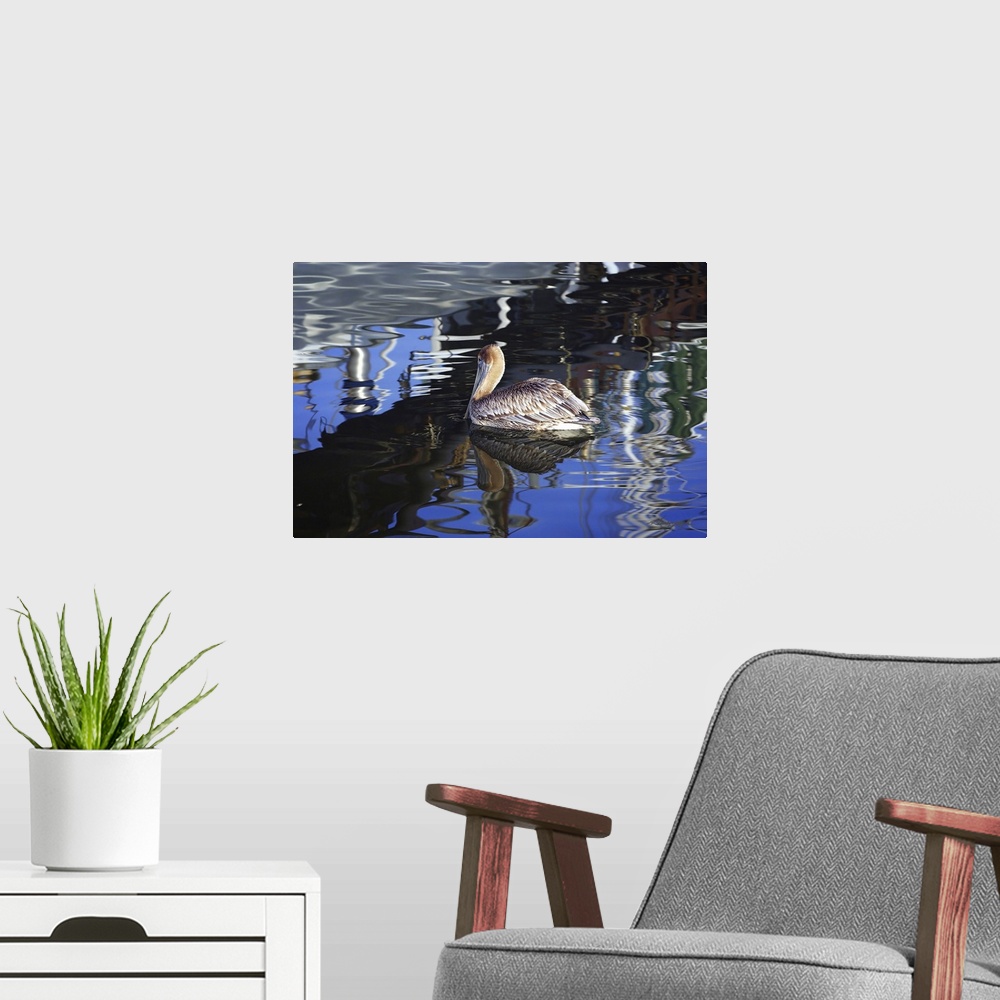A modern room featuring Reflections & Pelican
