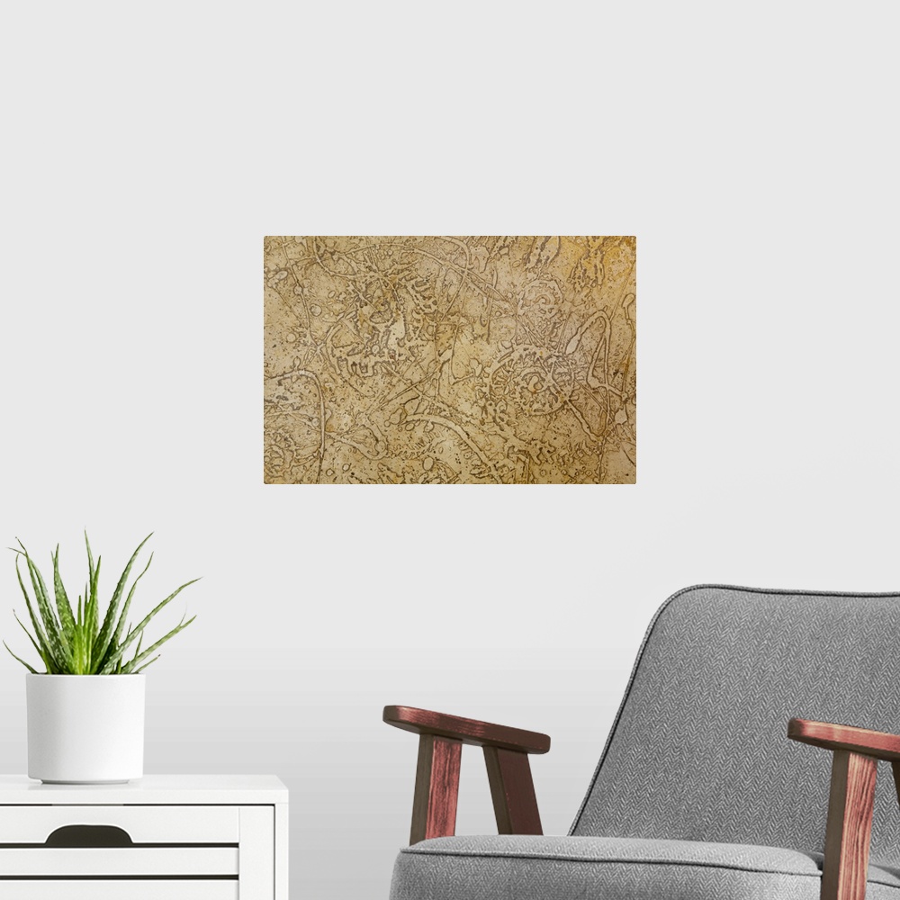 A modern room featuring Close up image of several small fossils, forming an almost abstract image.