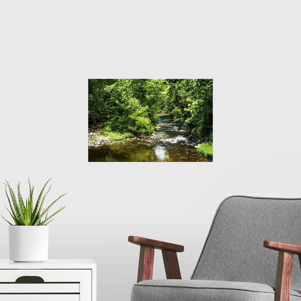 A modern room featuring A small creek in a green forest on a sunny day.