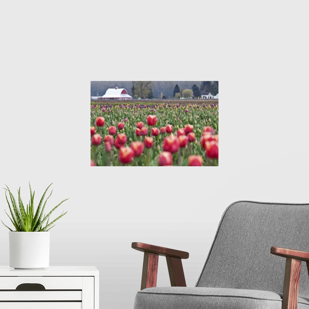 A modern room featuring Tulip Homestead