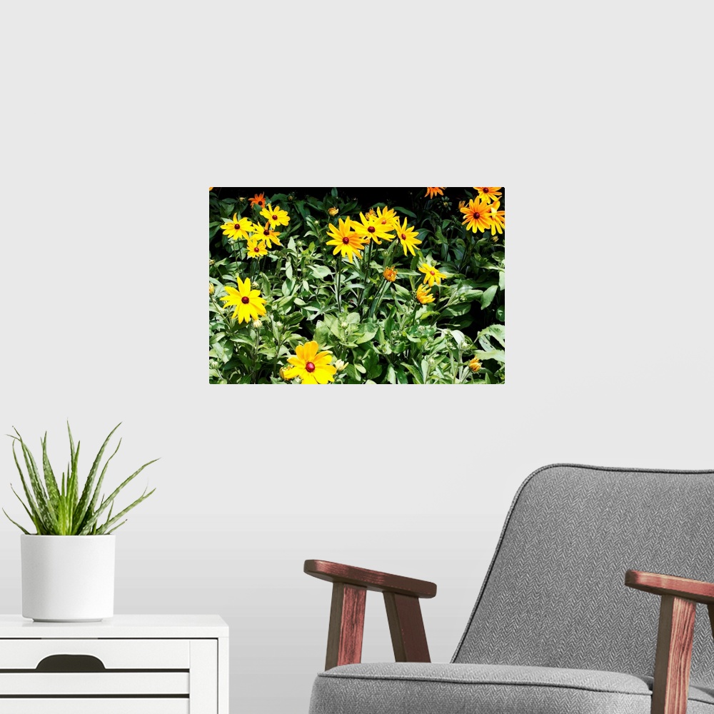 A modern room featuring Yellow Daises - 2
