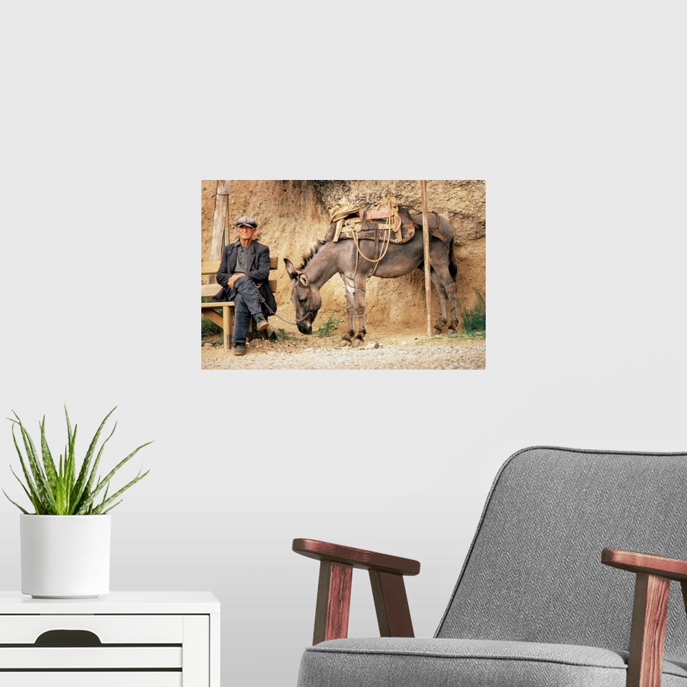 A modern room featuring Greece,Meteora,man with donkey