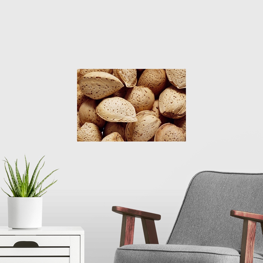 A modern room featuring Almonds
