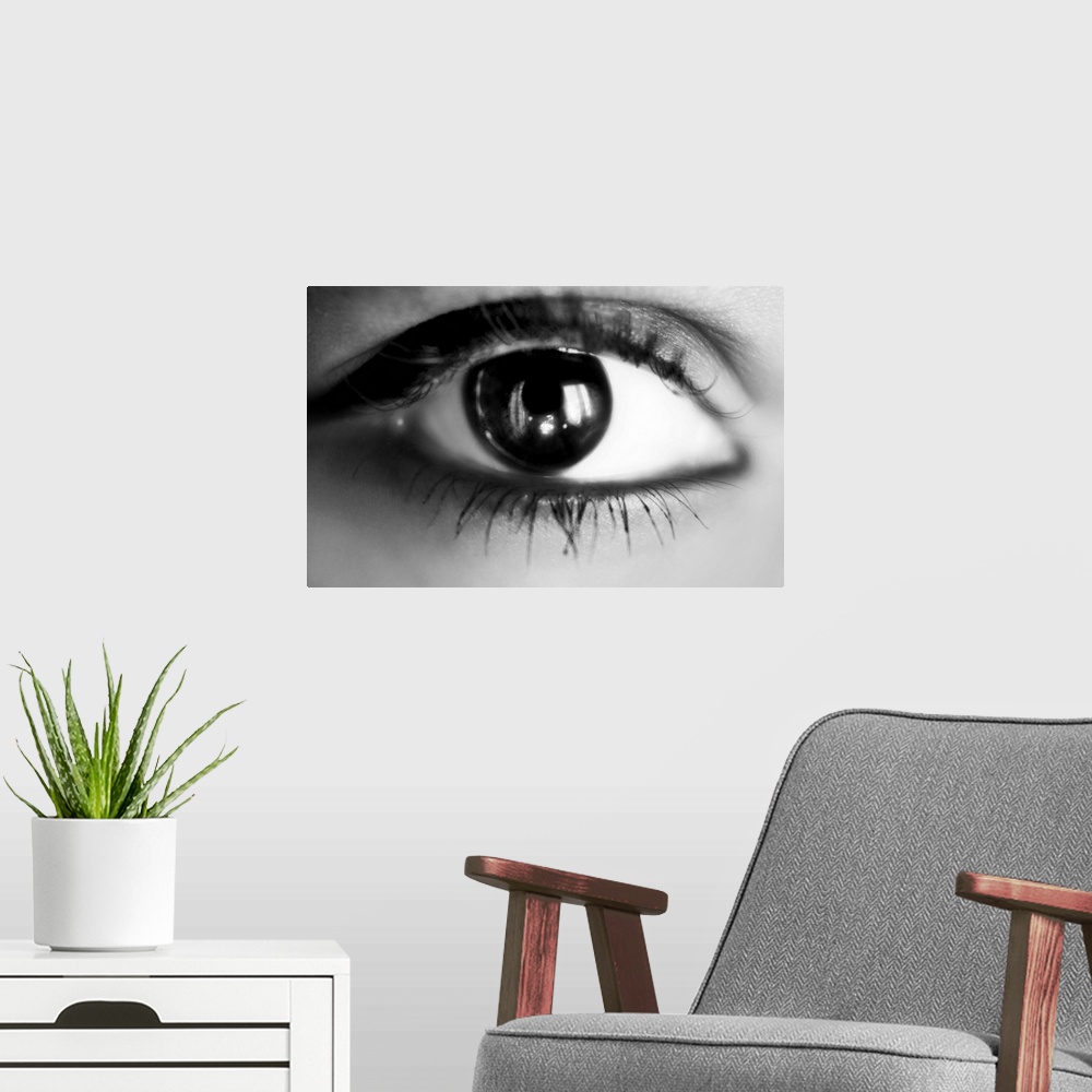 A modern room featuring macro eye girl in black and white.
