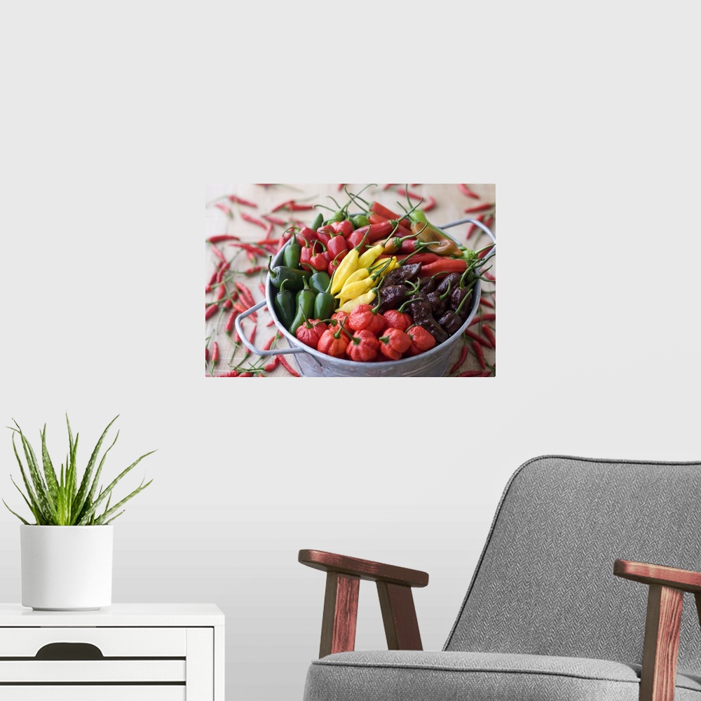 A modern room featuring Assorted Multicolored Chili Pepper in Bucket