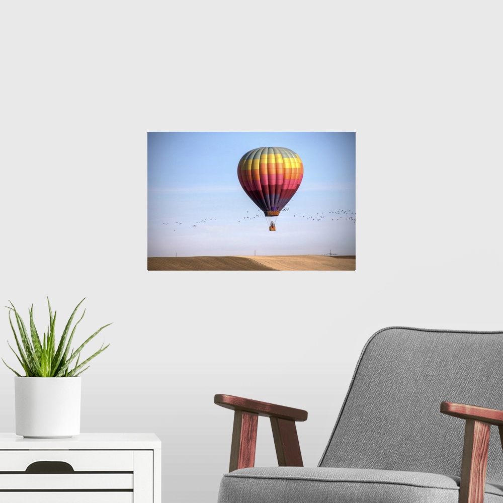 A modern room featuring Balloon over winter field in Colorado.