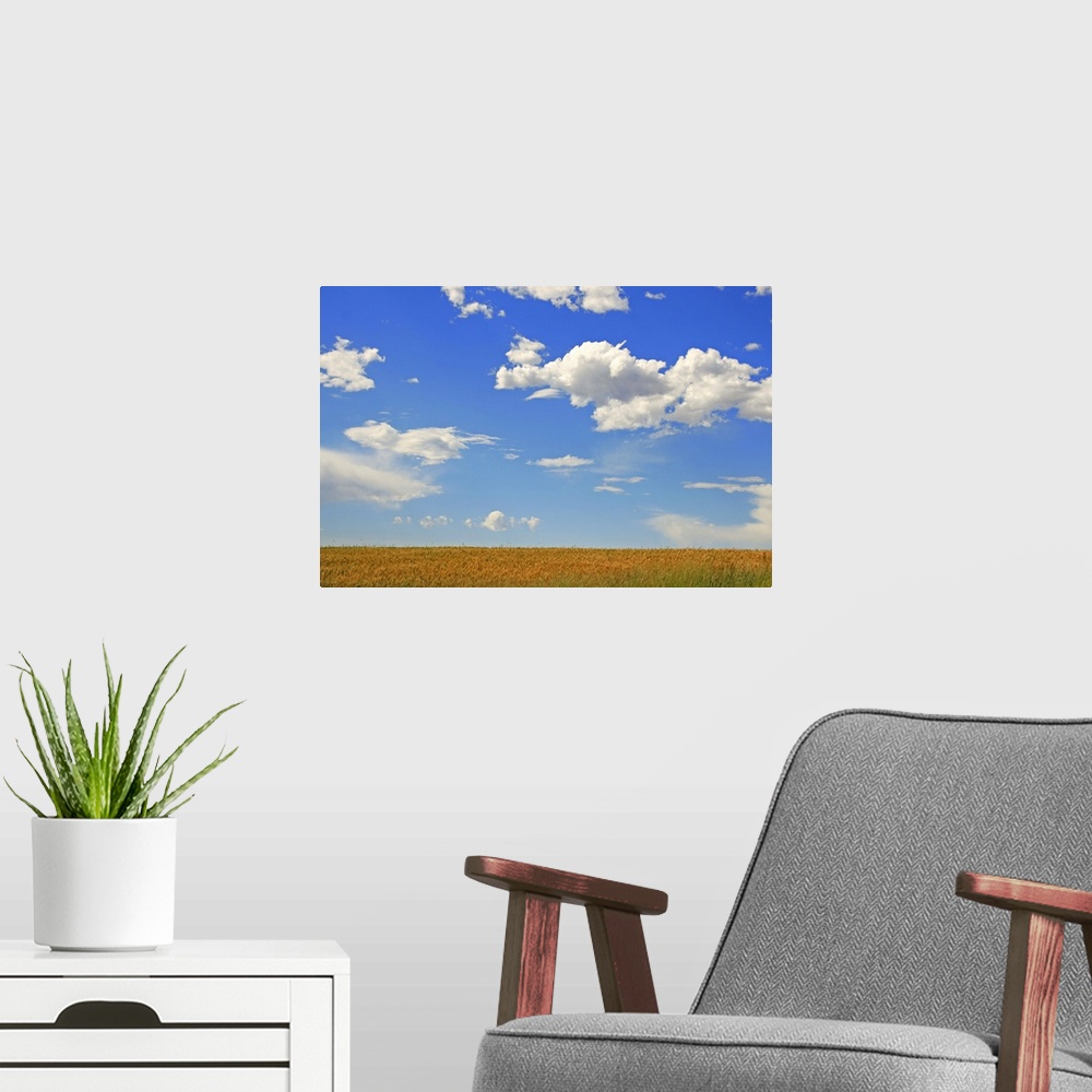 A modern room featuring Beautiful scenery cloud and landscape.