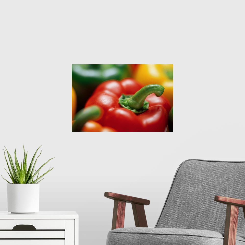 A modern room featuring Up-close view of various colors of peppers on canvas.