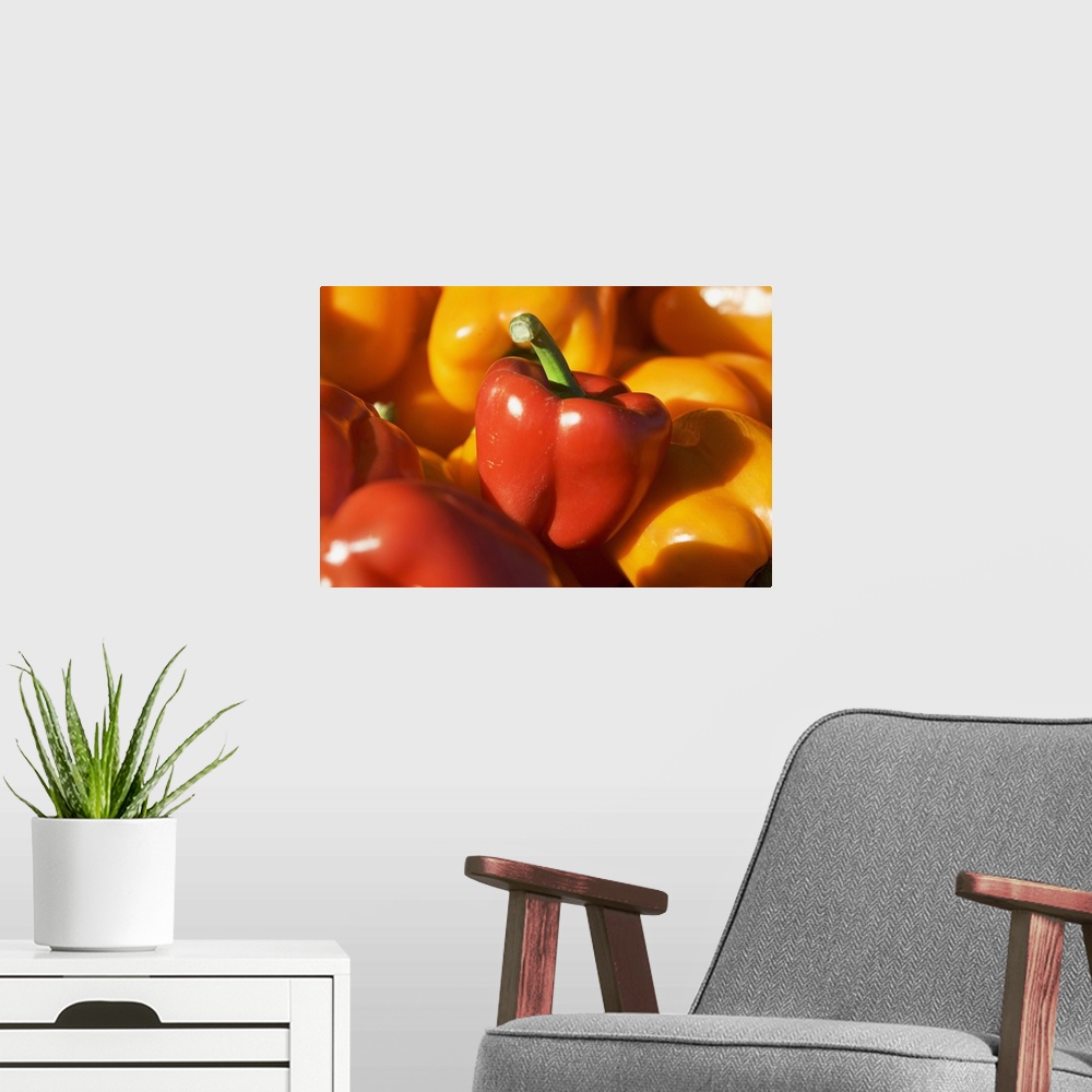 A modern room featuring USA, Massachusetts, Boston, bell peppers