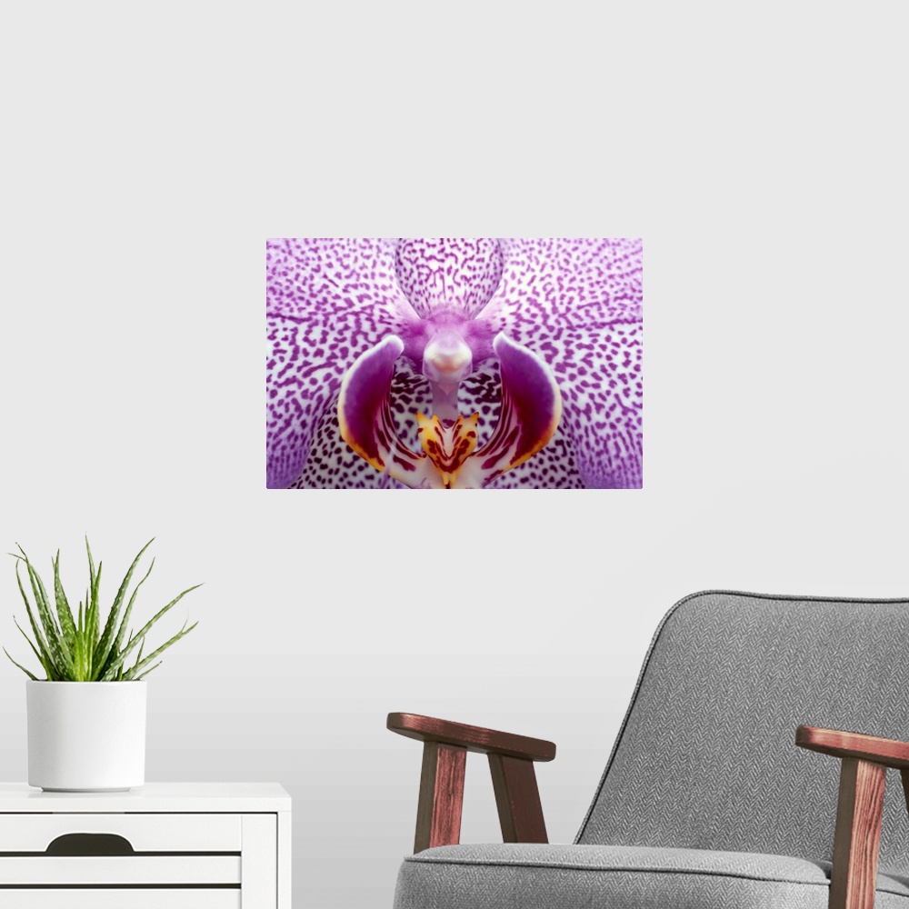 A modern room featuring Close up of orchid flower