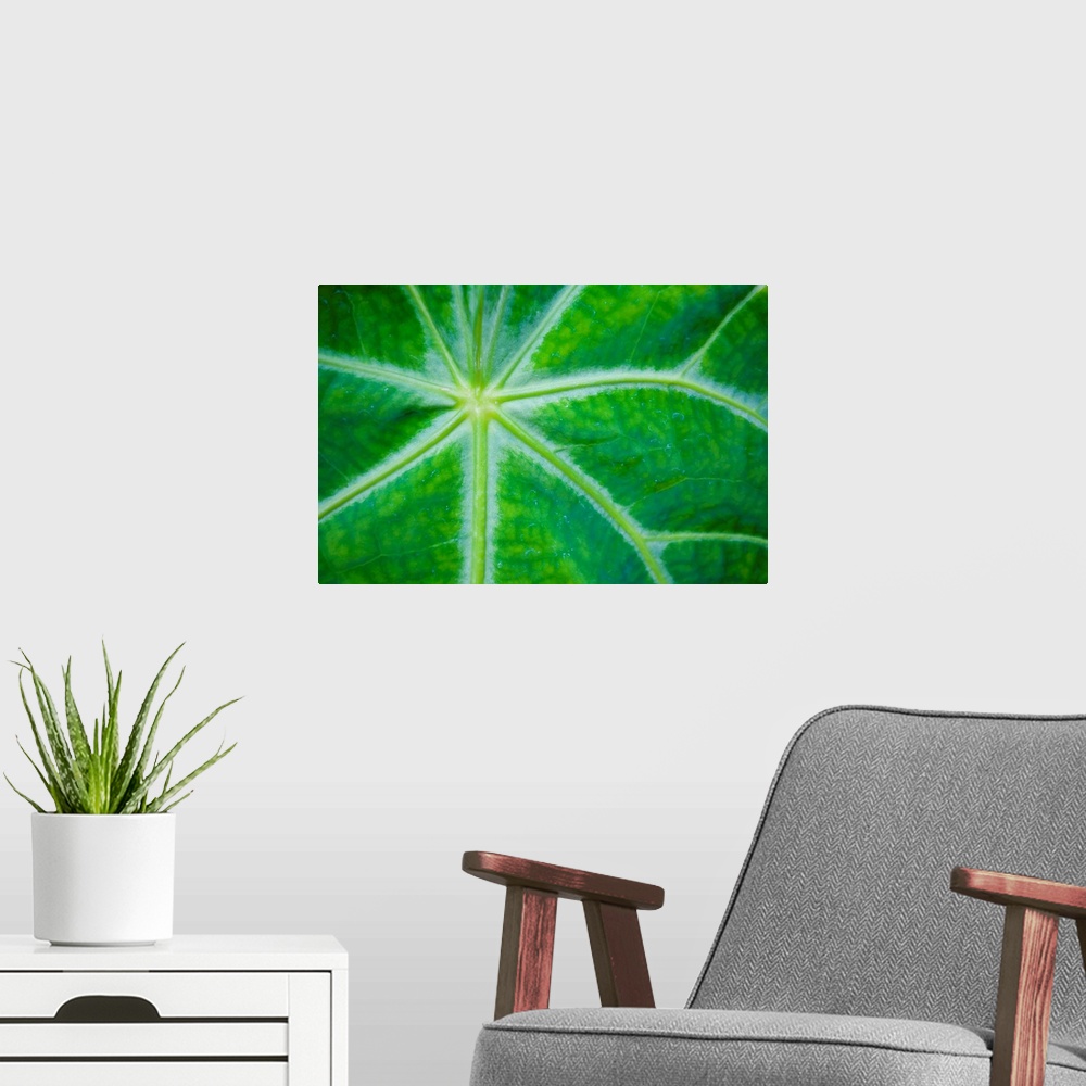 A modern room featuring Close-up of plant