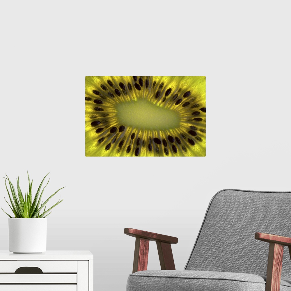 A modern room featuring Close up of the seeds in a slice of Kiwifruit (Chinese Gooseberry)