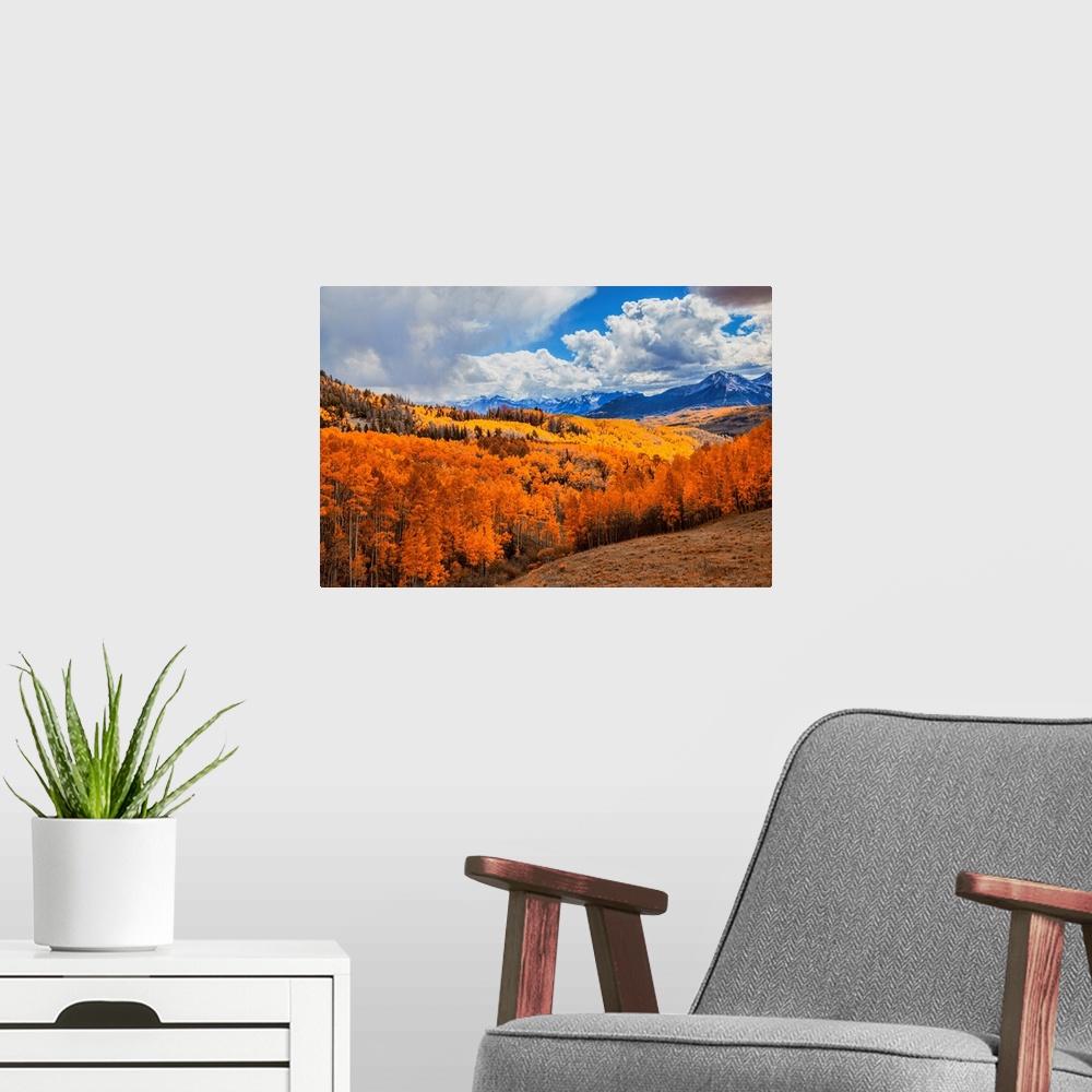 A modern room featuring An autumn colored aspen forest on a cloudy day in the San Juan mountains.