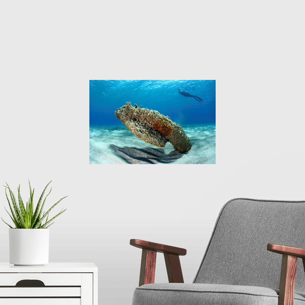 A modern room featuring Coral reef in water on island of Moro, Cabo de Gata.