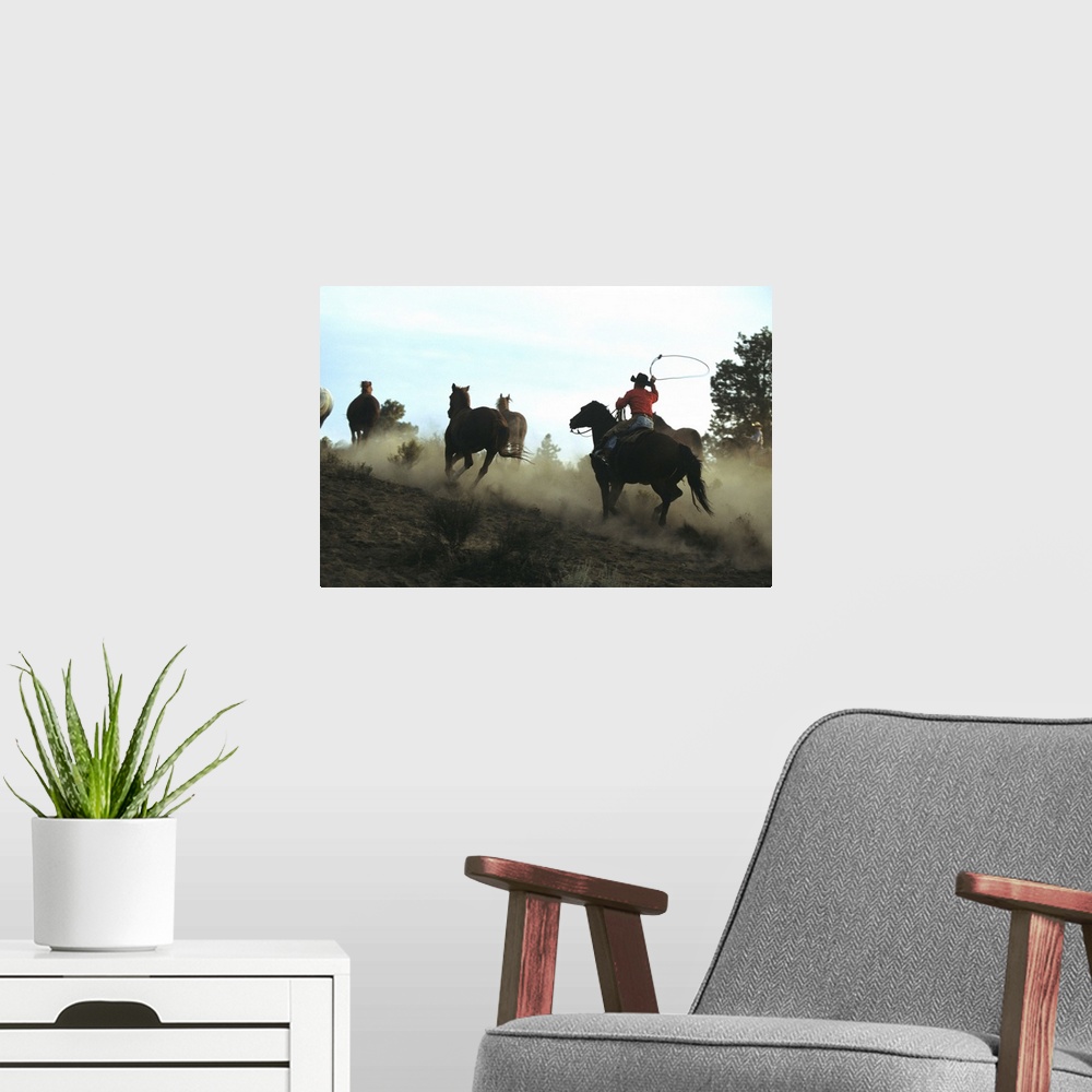 A modern room featuring Cowboy driving horses with lasso, Oregon, USA