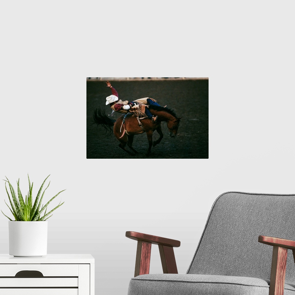 A modern room featuring Cowboy In A Rodeo