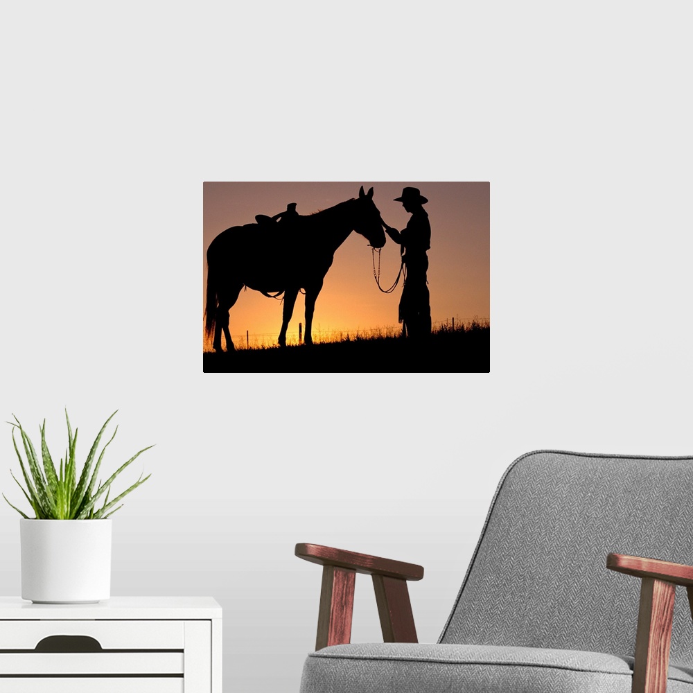 A modern room featuring Cowboy Petting Horse At Sunset
