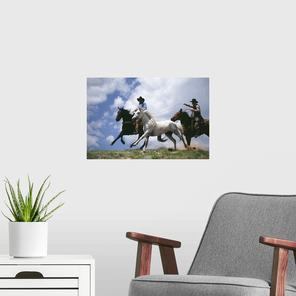 A modern room featuring Cowboys lassoing horse