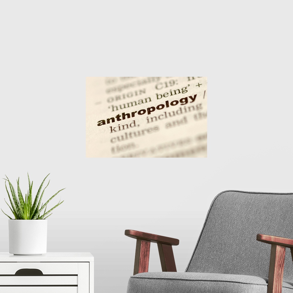 A modern room featuring Definition of anthropology
