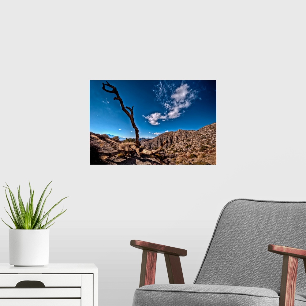 A modern room featuring View of deserted landscape against lonely tree with no leaves.