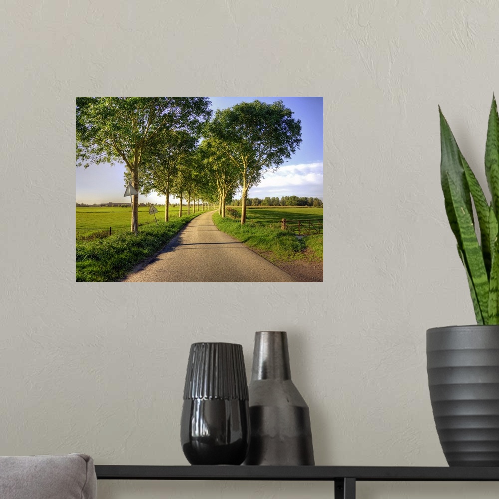 A modern room featuring Typical country road in the Netherlands, with on both sides of the road a row of trees, during th...
