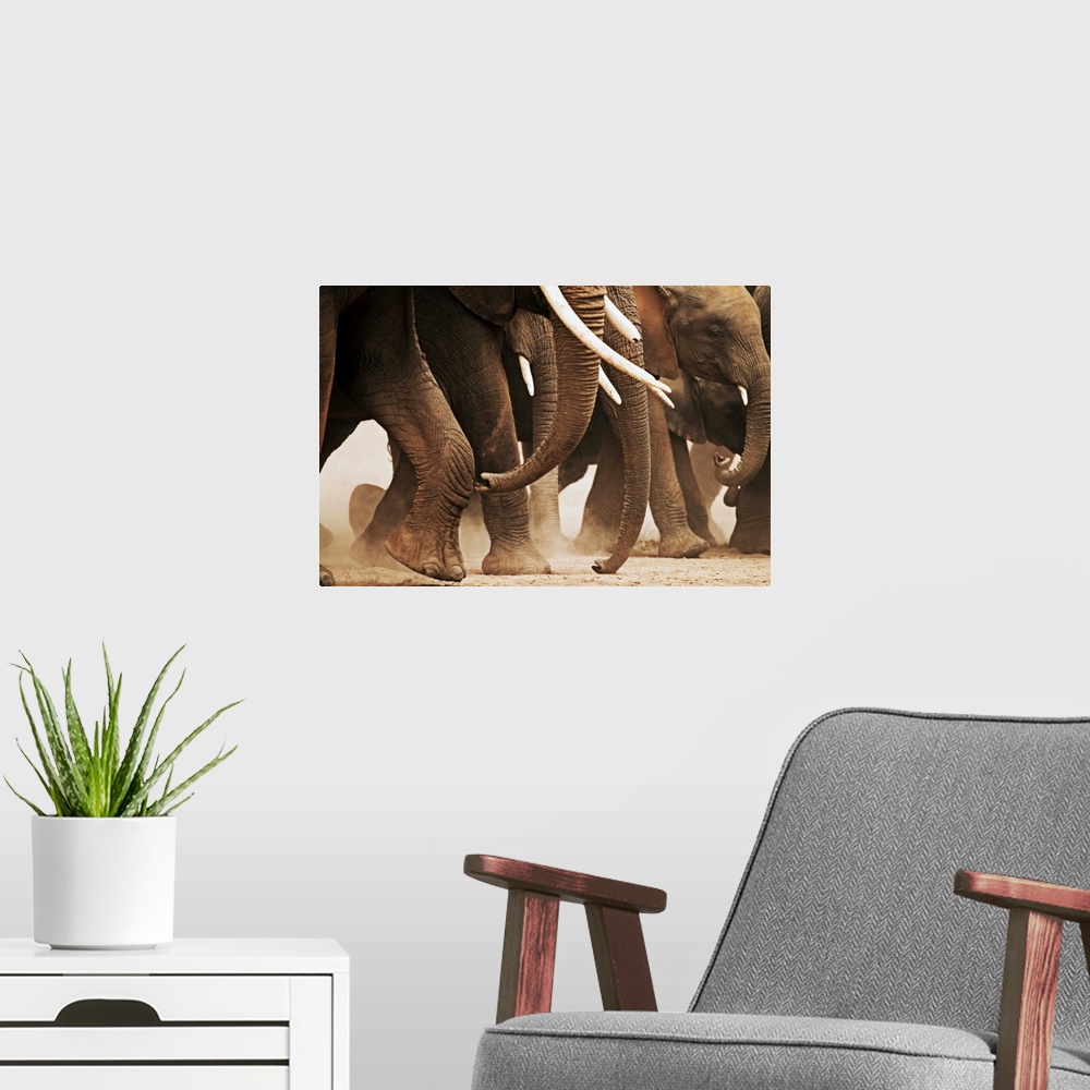 A modern room featuring Elephant Herd On The Move