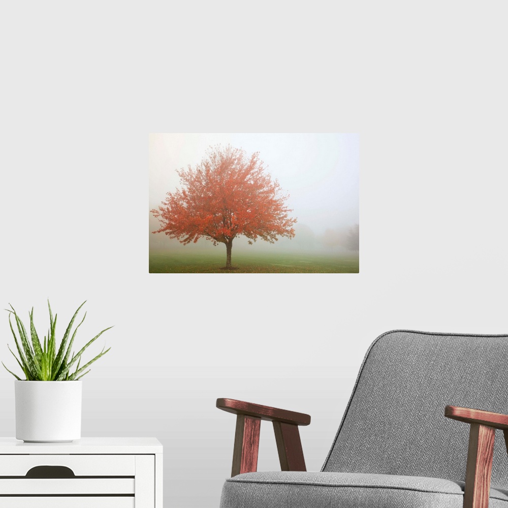 A modern room featuring Fall Trees In The Fog