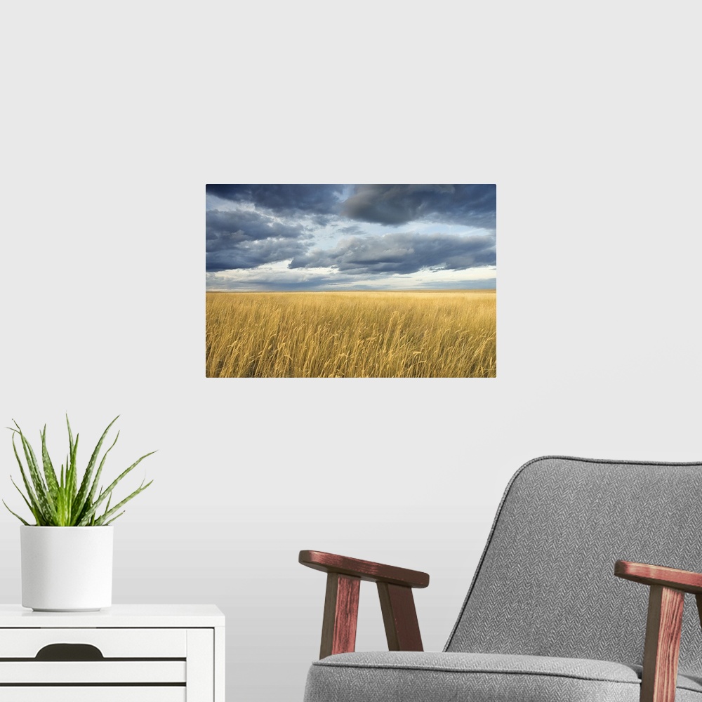 A modern room featuring Field with storm clouds