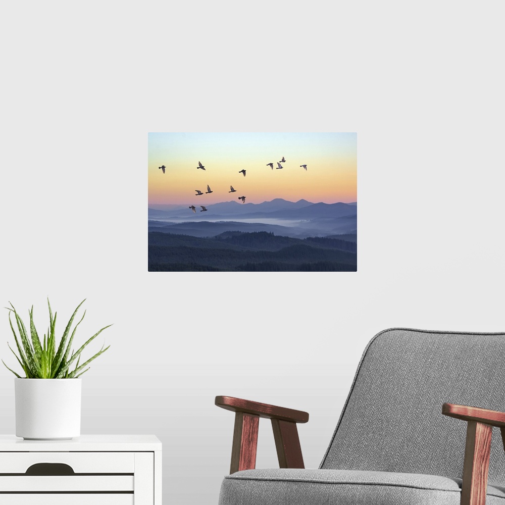 A modern room featuring Foggy morning in the mountains with flying birds over silhouettes of hills.