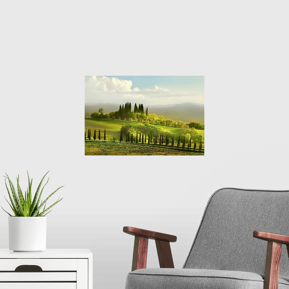 A modern room featuring Artwork done of a massive field in Italy that is covered with several types of trees and a large ...