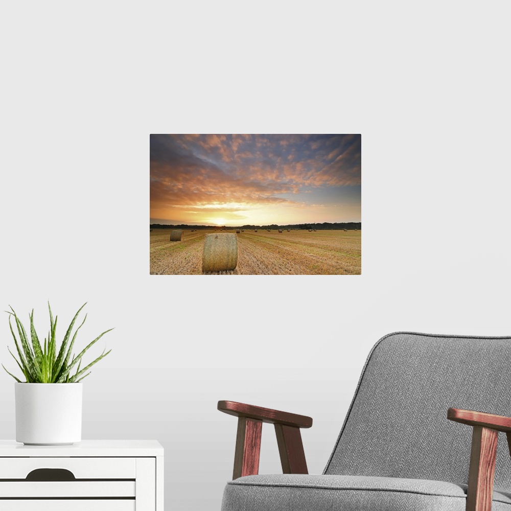 A modern room featuring Hay bale field pictured during summer's sunrise, near Christchurch, Dorset, UK.