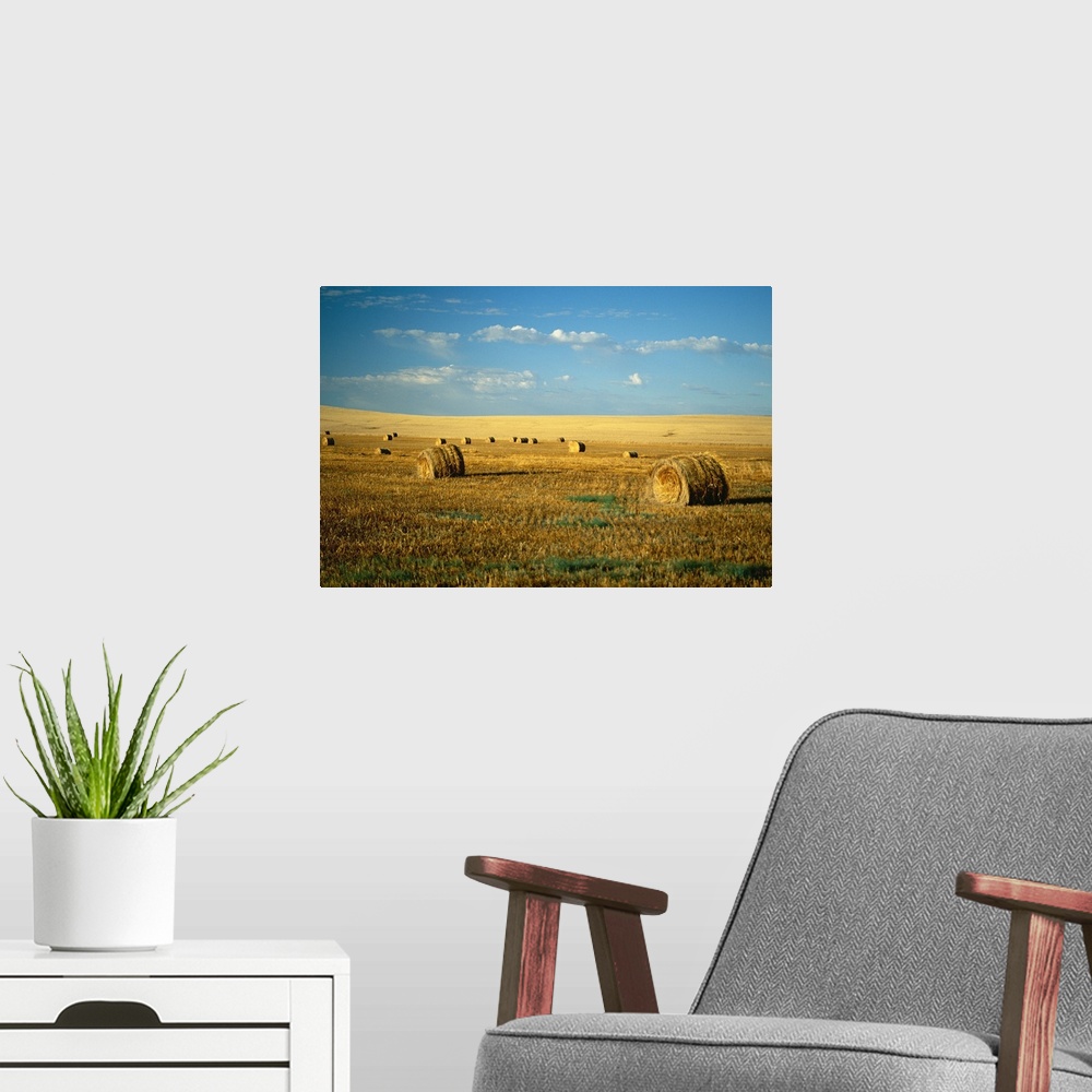 A modern room featuring Hay field, North Dakota