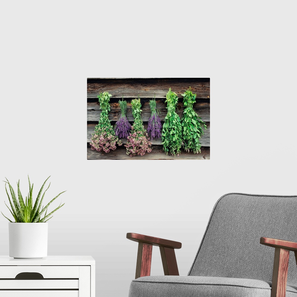 A modern room featuring Bundles of (left to right) mint, lavender, and oregano dry outside.