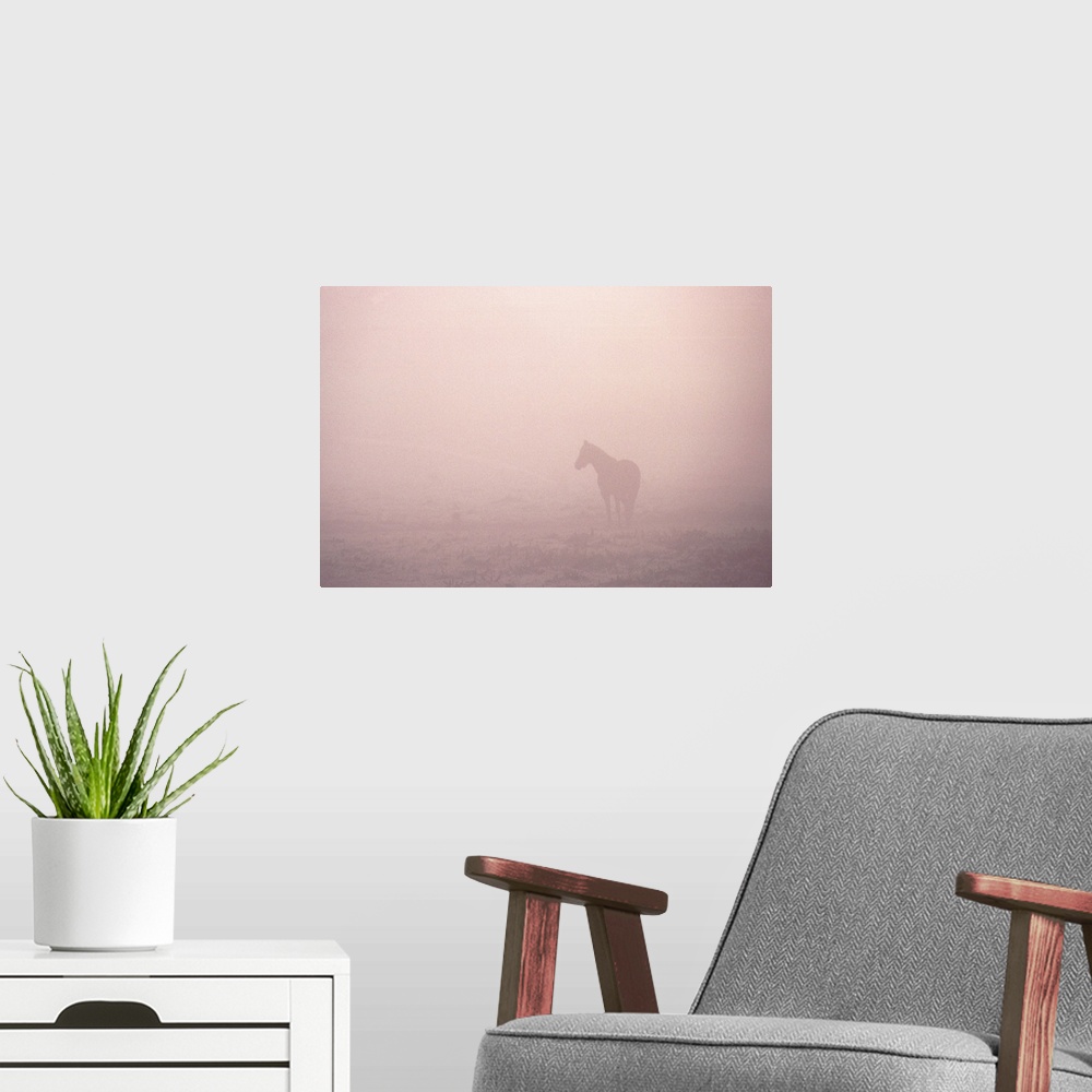 A modern room featuring horse in fog