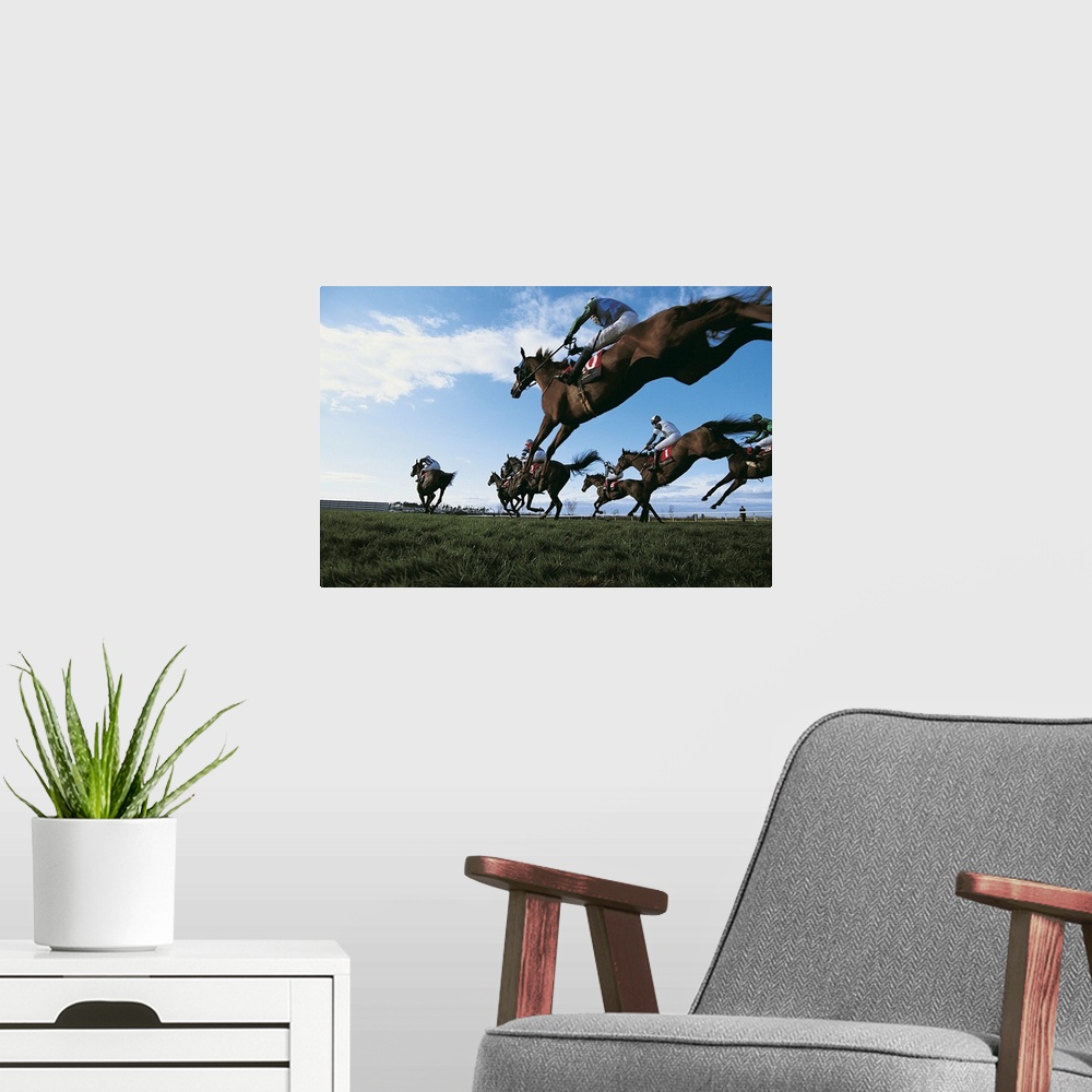 A modern room featuring Horse Race