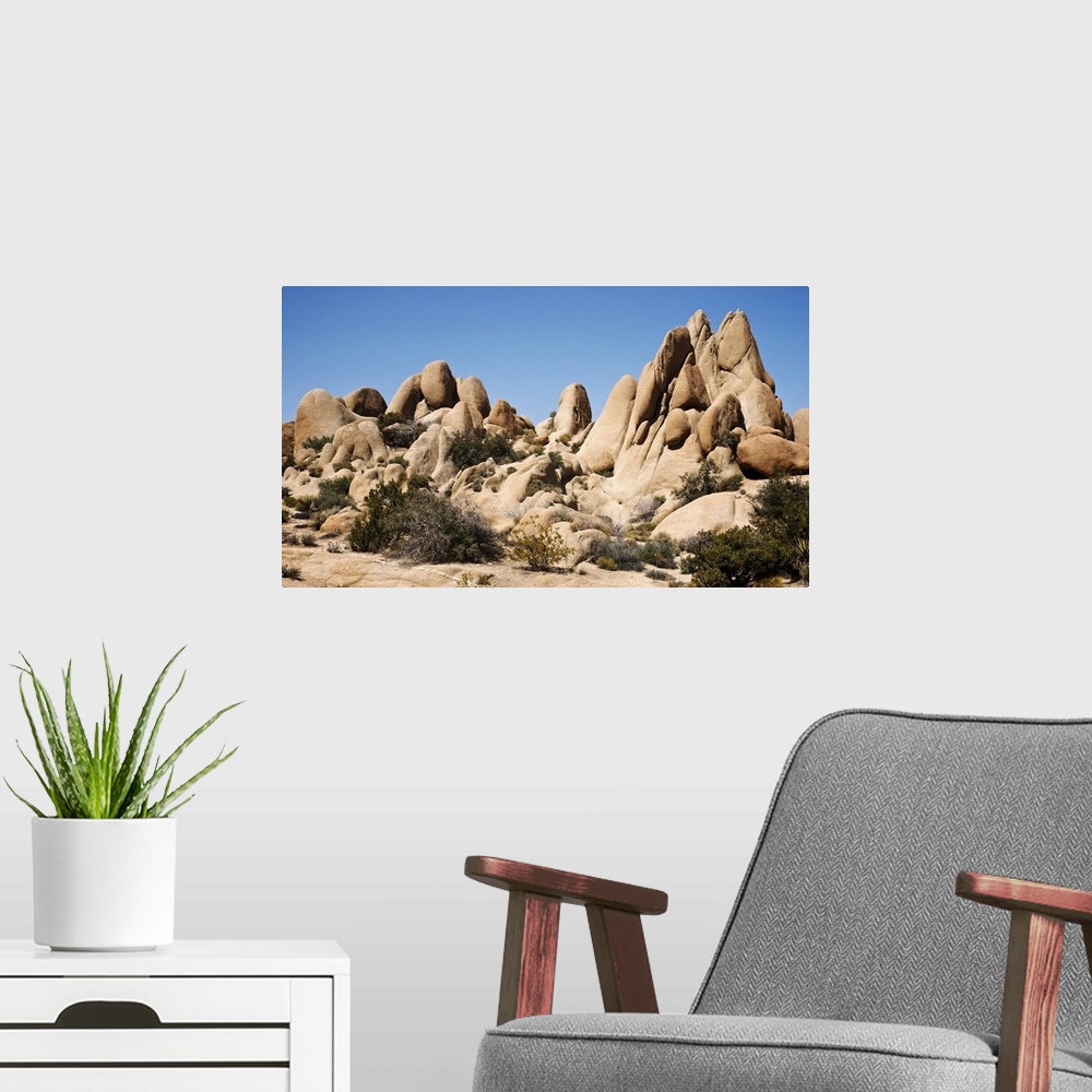A modern room featuring Rock formations of Joshua Tree National Park in California.