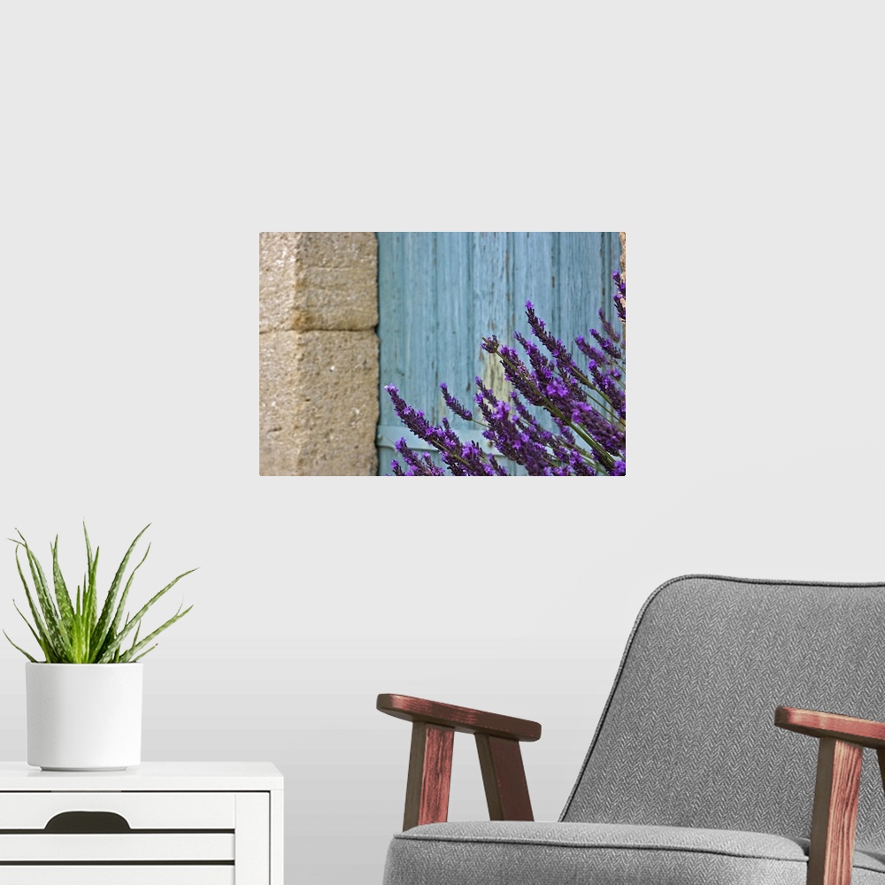 A modern room featuring Lavender flower against door.