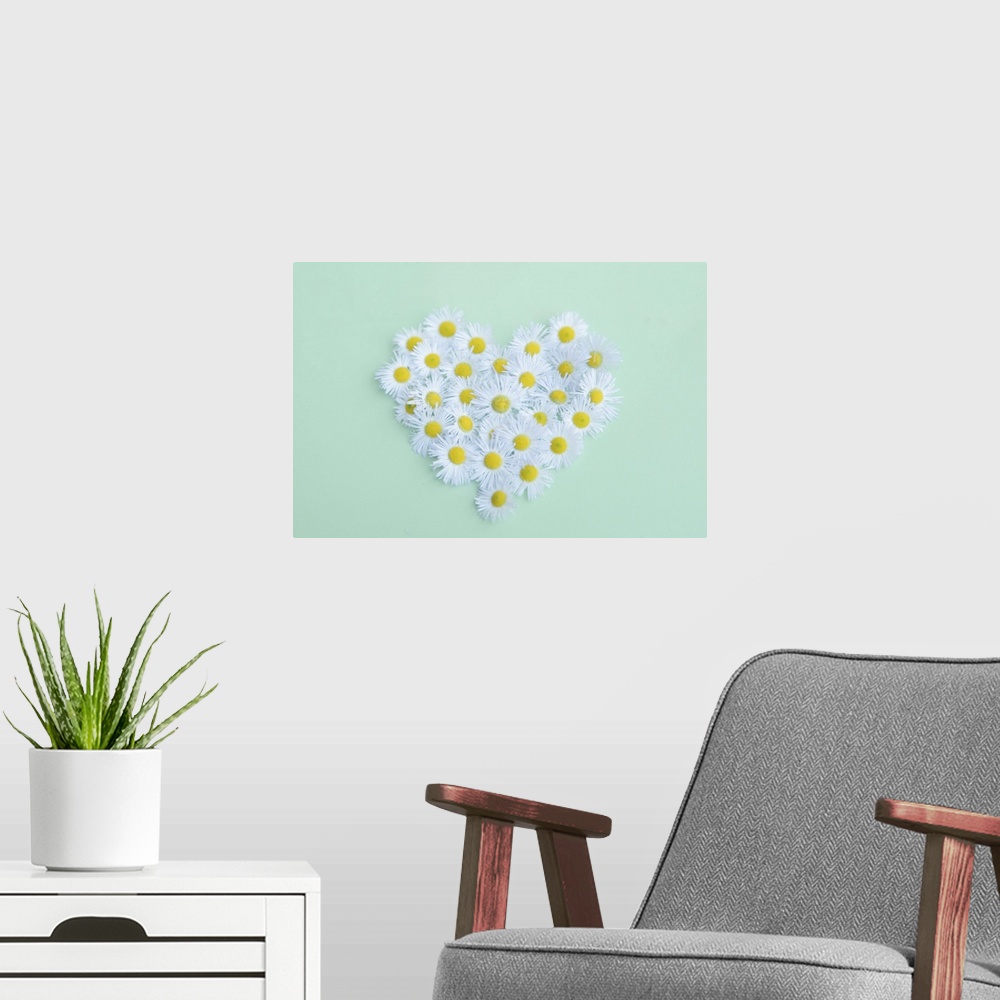 A modern room featuring Little daisy in heart shape.
