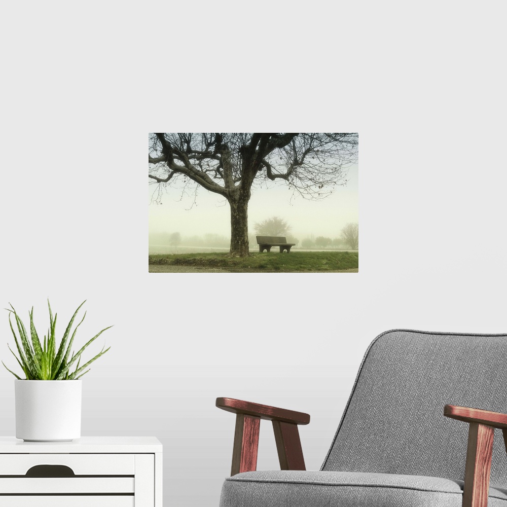 A modern room featuring Lonely bench beneath tree in winter with trees and mist on background.