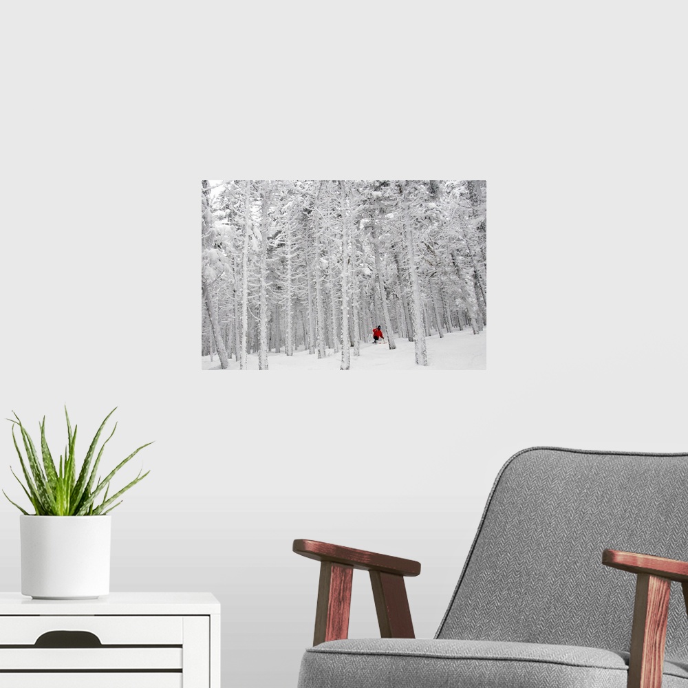 A modern room featuring Man Skiing through frost covered forest