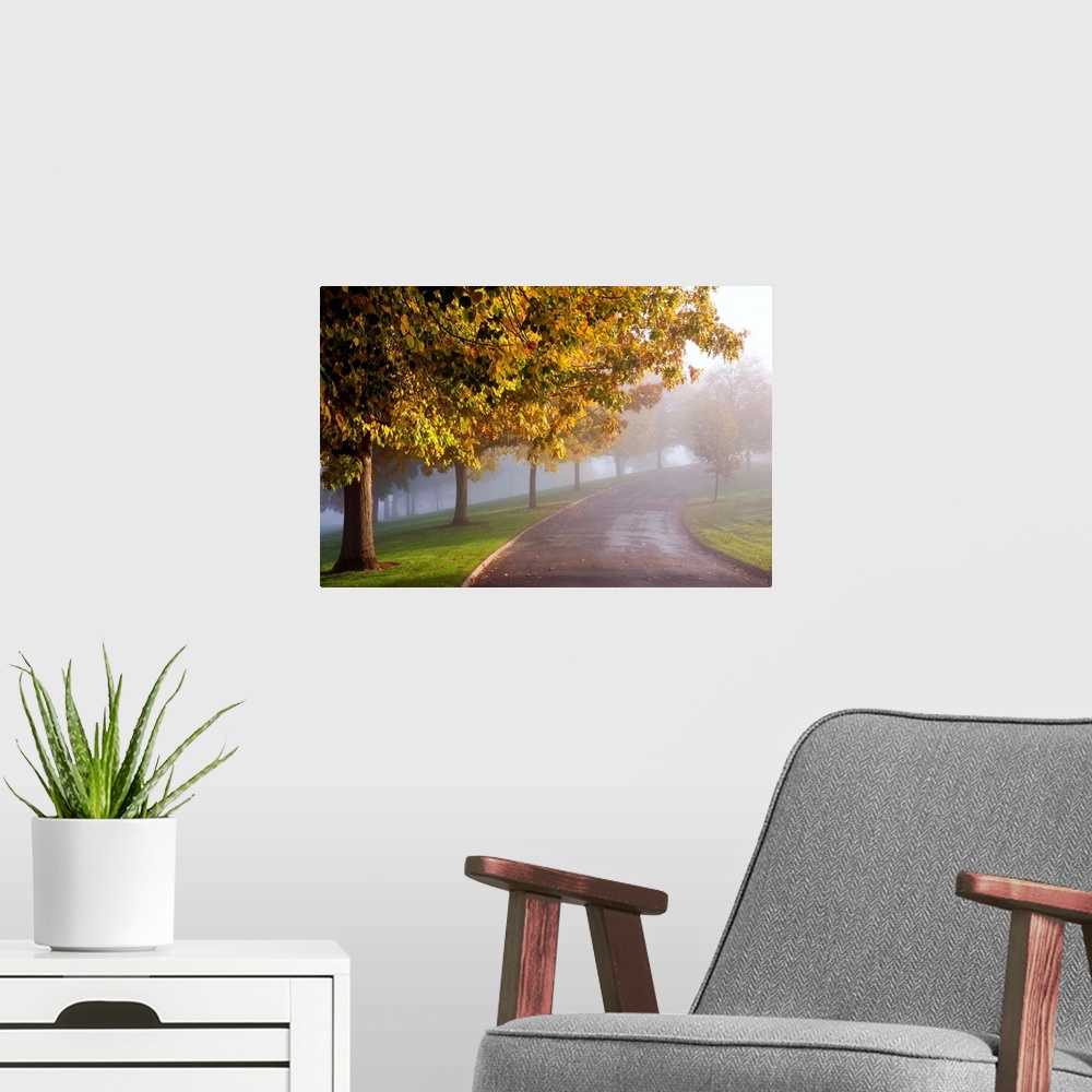 A modern room featuring Misty Autumn Trees