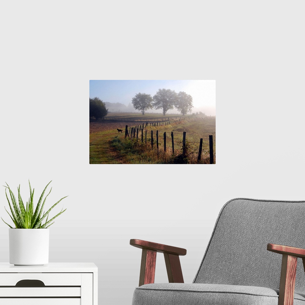 A modern room featuring Misty morning on dog walk in Limousin countryside.