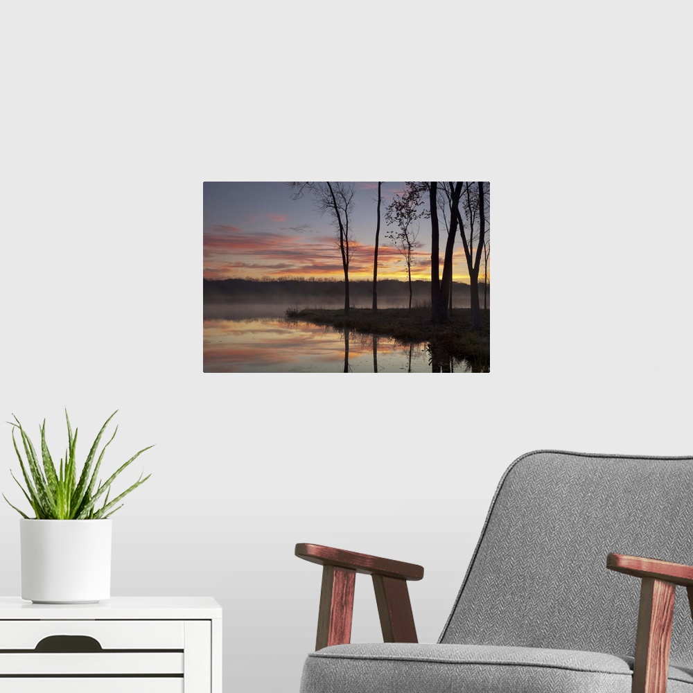 A modern room featuring Misty sunrise, pond lake County Forest Preserve District, Illinois.