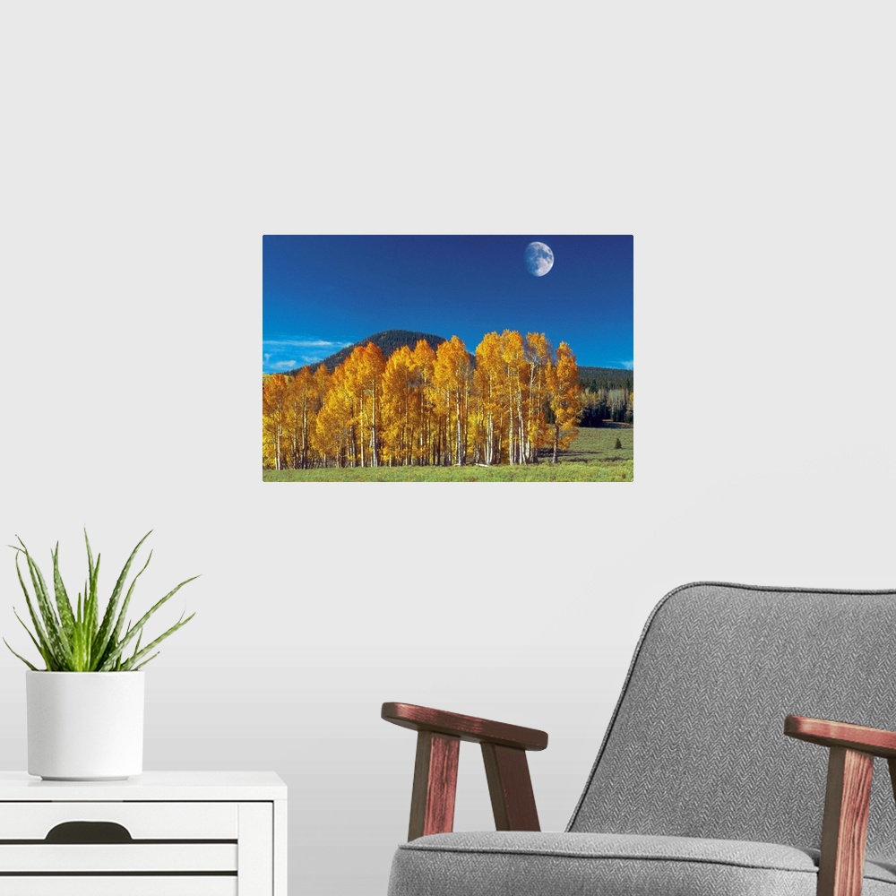 A modern room featuring Moon over a landscape, Monument Valley Navajo Tribal Park, Arizona, USA