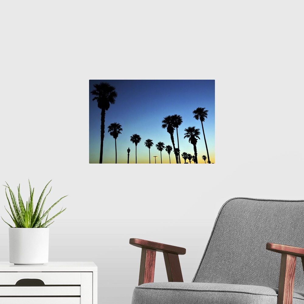 A modern room featuring Silhouette of Palm trees in Huntington Beach, California, USA.