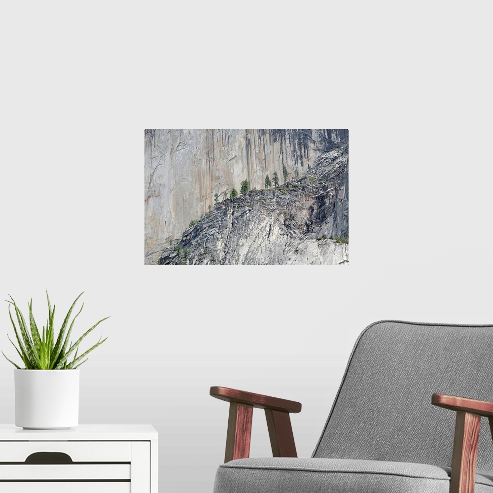 A modern room featuring Pine trees on a granite cliff in Yosemite Valley
