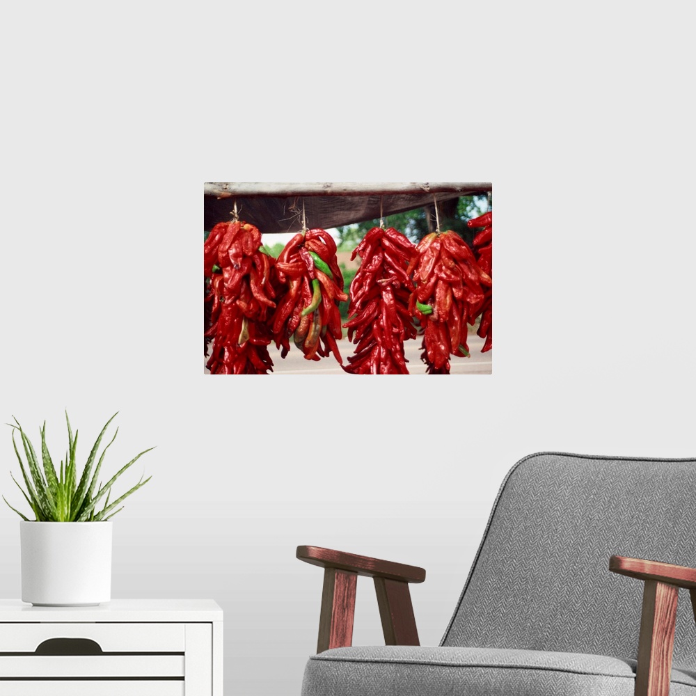 A modern room featuring Red peppers drying