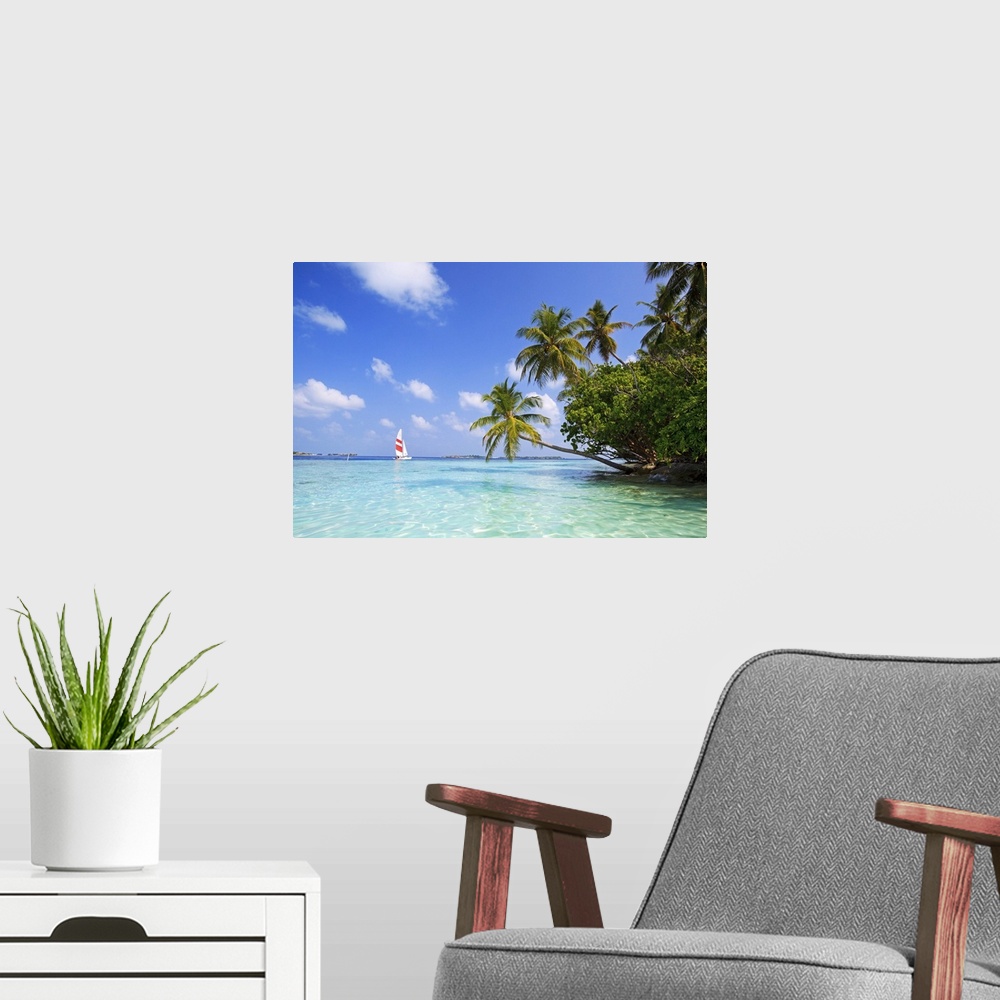 A modern room featuring Big, landscape photograph of palm trees swaying over the clear blue waters of the Indian Ocean.  ...