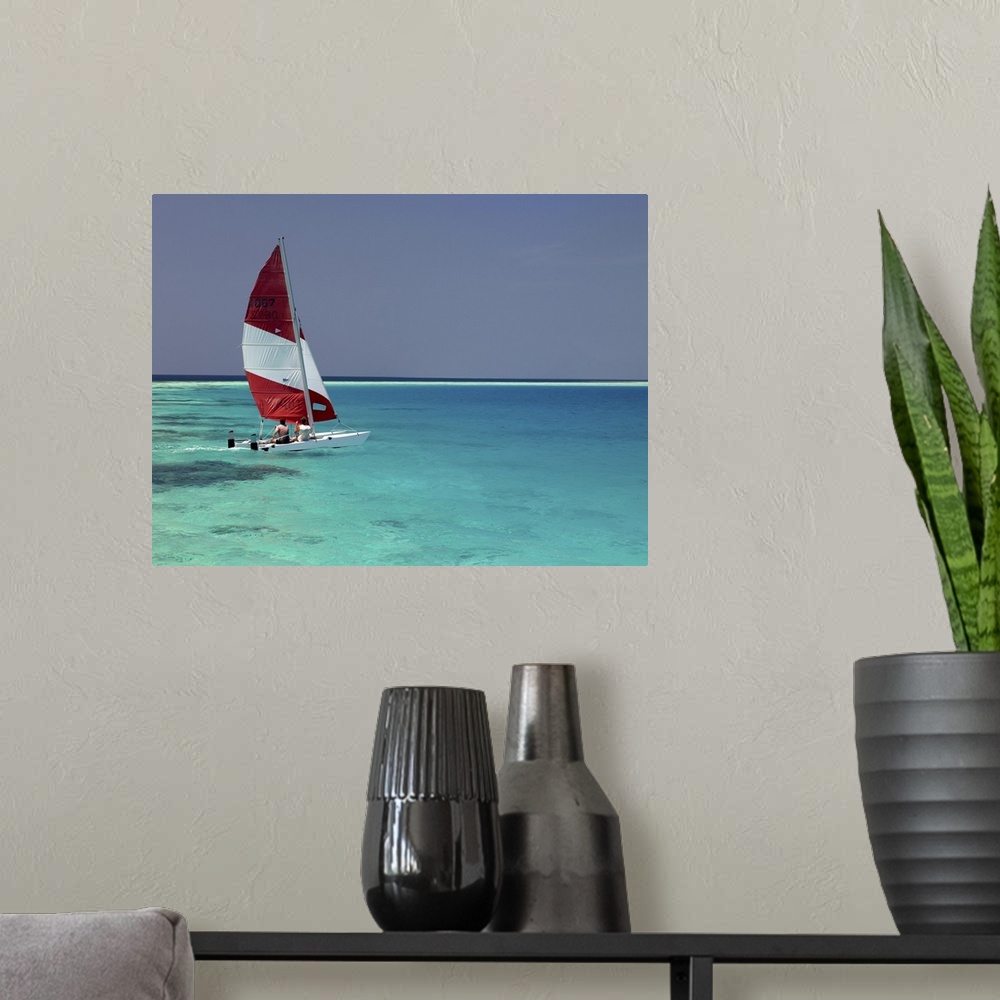 A modern room featuring Sailboat on crystal blue water