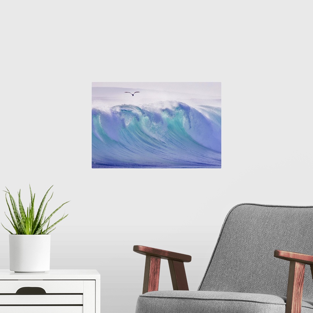 A modern room featuring Large photo on canvas of a big wave about to crash with a seagull flying above.